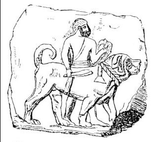 Assyrischer Hund, ca. 640 v.Chr. Assyrischer Hund, ca. 640 v.Chr.